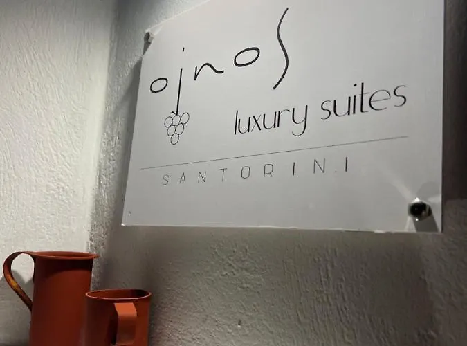 Oinos Luxury ヴィラ Foinikiá