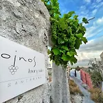 Oinos Luxury فيلة *