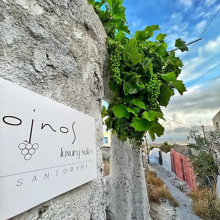 Oinos Luxury Вилла *