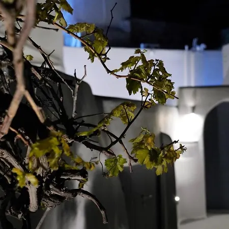 Oinos Luxury * Foinikiá