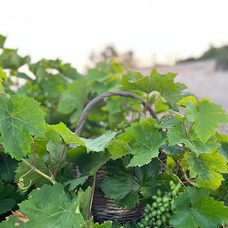 Villa Oinos Luxury *