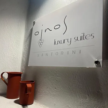 Oinos Luxury Villa Foinikia (Santorini)