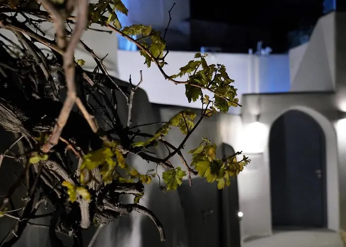 Oinos Luxury * Foinikiá