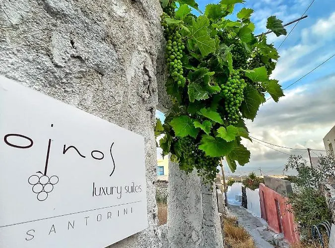 Oinos Luxury Villa *